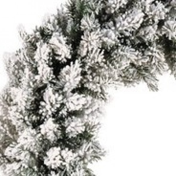 Norway Spruce Wreath 80cm 